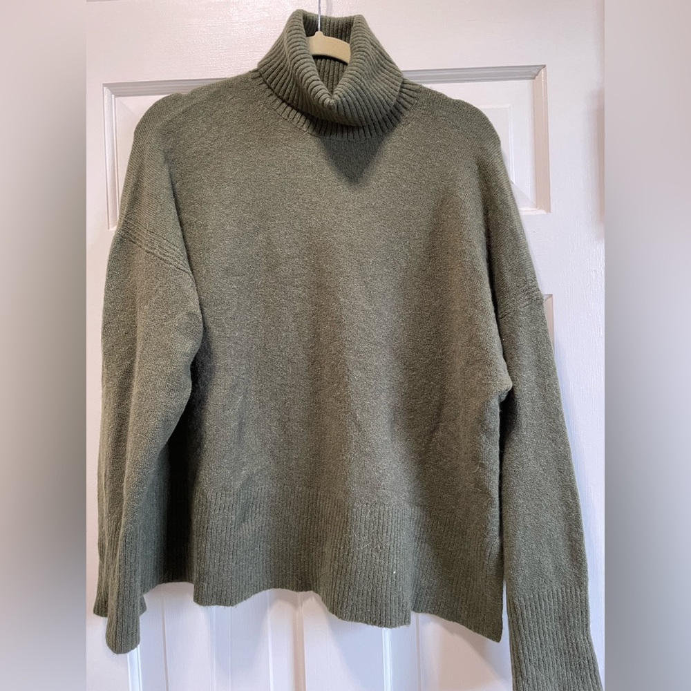 JCrew Turtleneck Sweater
